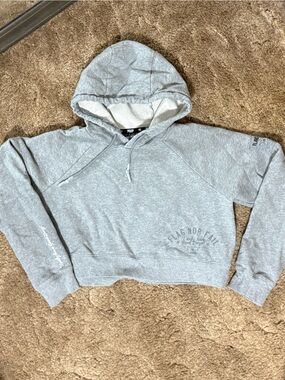 Flag Nor Fail Cropped Hoodie